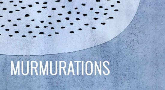 Murmurations